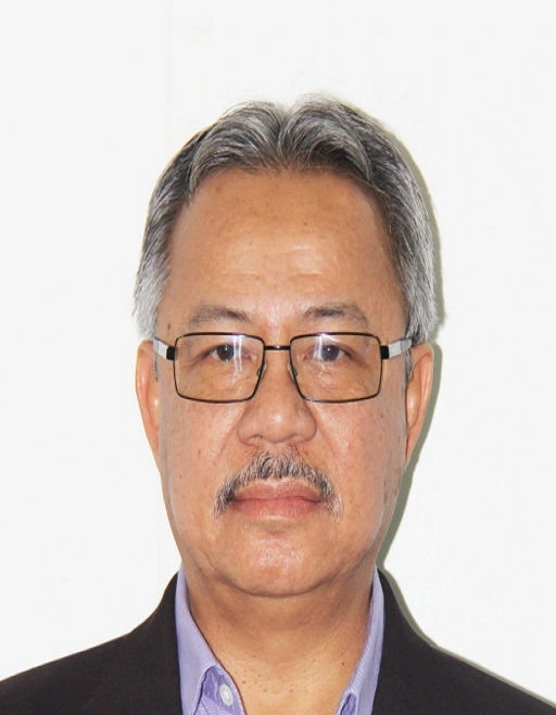 Prof. Ir. Zainal Arifin Hasibuan, MLS, Ph.D